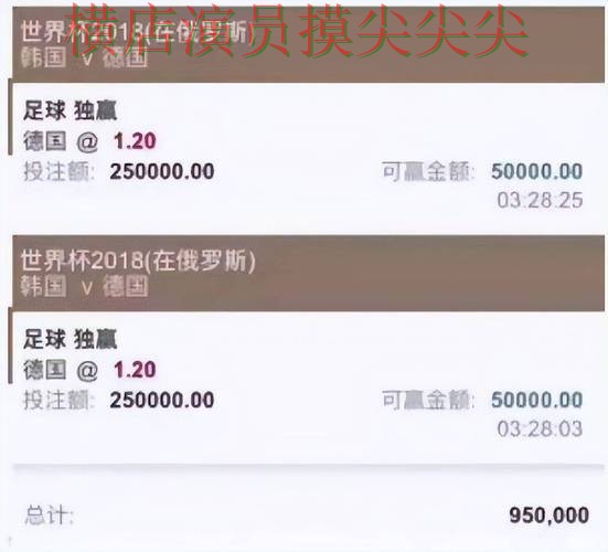 世界杯直播来临，世界杯投注入口数据分析与平台选择整理